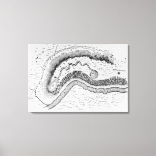 Toile Le grand monticule de serpent
