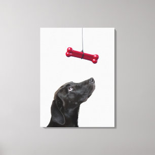 Toile Le laboratoire noir a mélangé le chien à l'os de