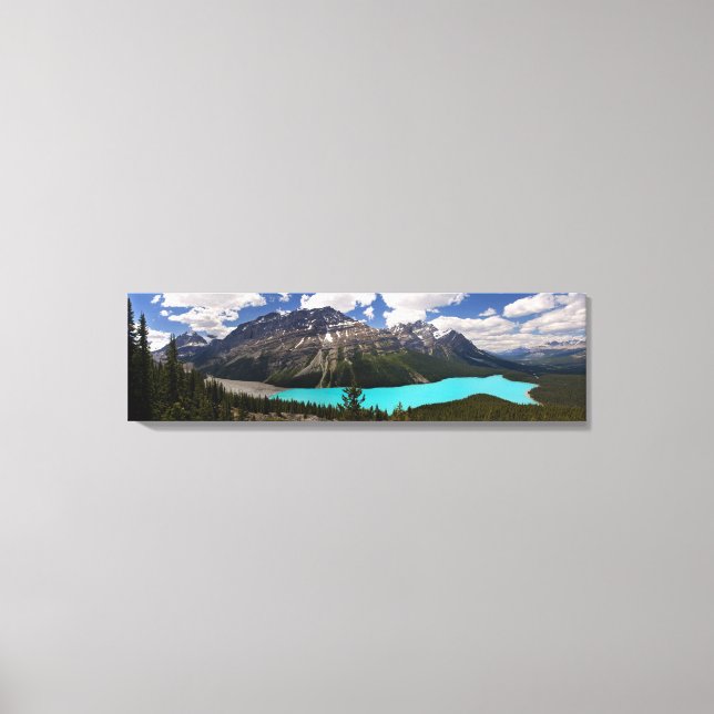Toile Le lac Peyto en été (Recto)