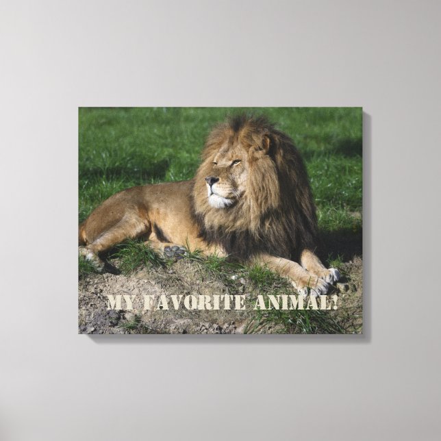 Toile Le lion est mon animal préféré ! (Recto)