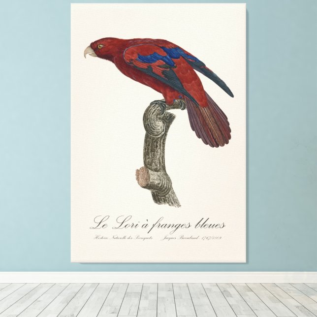 Toile Le Lori a franges bleues (Insitu (Plancher de Bois))