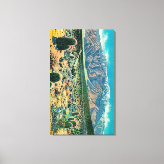Toile Le mont San Jacinto du jardin du diable (Recto)