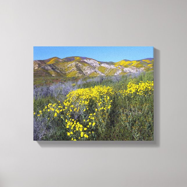 Toile Le monument national de Carrizo Plain (Recto)