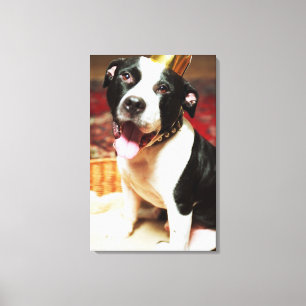 Toile Le nom latin pour tous les chiens domestiques est