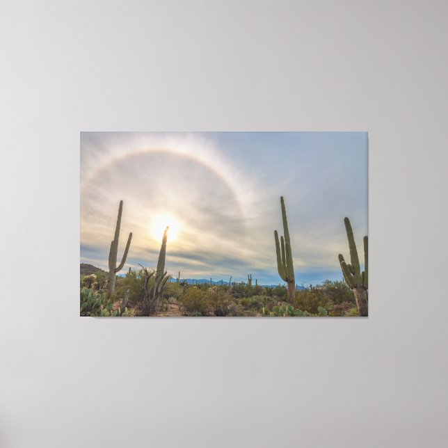 Toile Le Parc national du Saguaro (Recto)