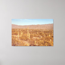 Le Parc national du Saguaro