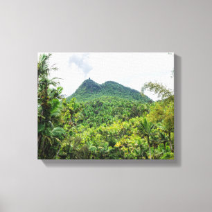Toile Le paysage du mont Britton et du mont el yunque