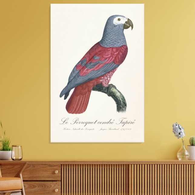 Toile Le Perroquet cendre Tapire (Insitu(Salon))