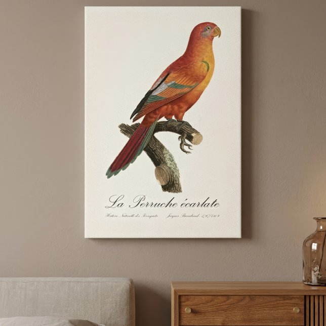 Toile Le Perruche écarlate (Red Lory or Eos Bornea, Trichoglossus borneus. Canvas Print)