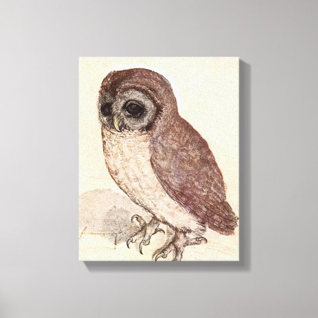 Toile Le Petit hibou | Albrecht Dürer (Recto)