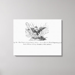 Toile Le Phénix se levant de ses cendres