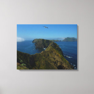 Toile Le point d'inspiration d'Anacapa I dans les îles d