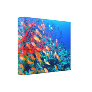 Toile Le récif corallien sous-marin de poissons tropicau
