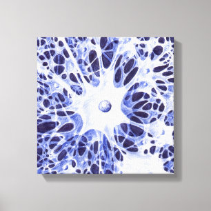 Toile Le réseau neuronal