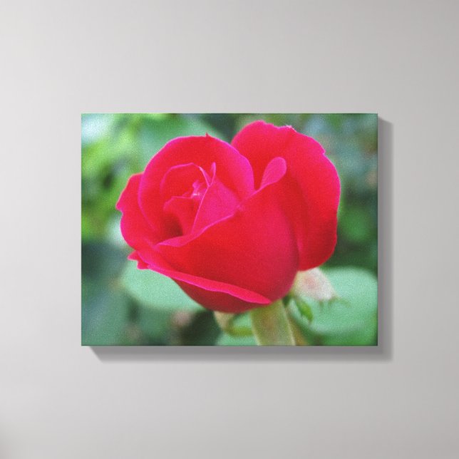 Toile Le Rose Parfait ! (Recto)