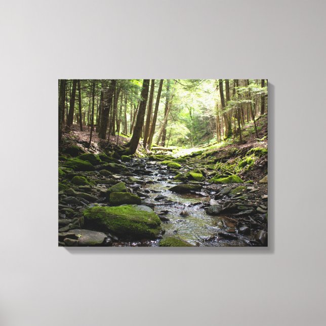 Toile Le ruisseau paisible dans les bois (Recto)