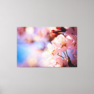 Toile Le Sakura S'Éclate Par Un Jour De Soleil