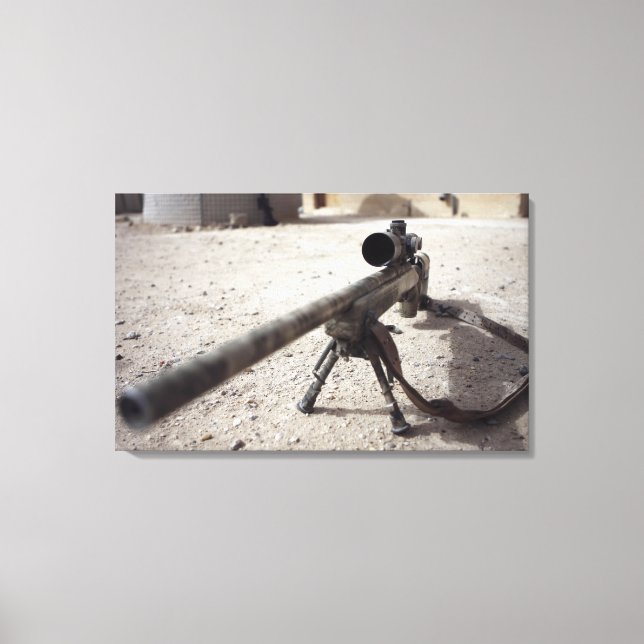 Toile Le Schmidt & Bender M-854155 DS (Recto)