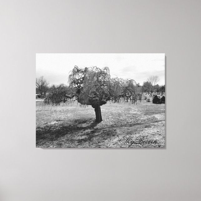 Toile le solitaire (Recto)