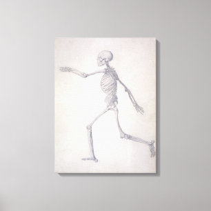 Toile Le squelette humain, vue latérale, de la série