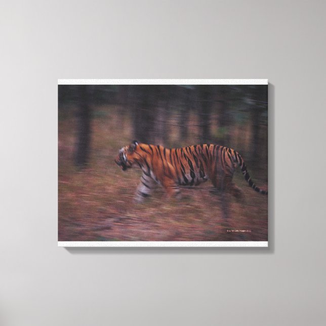 Toile Le tigre à travers la forêt (Recto)
