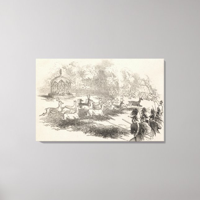 Toile Le tir des cerfs à Gotha (Recto)