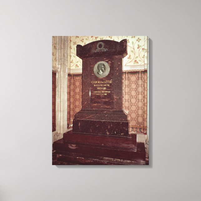 Toile Le tombeau de Carl Linnaeus (Recto)