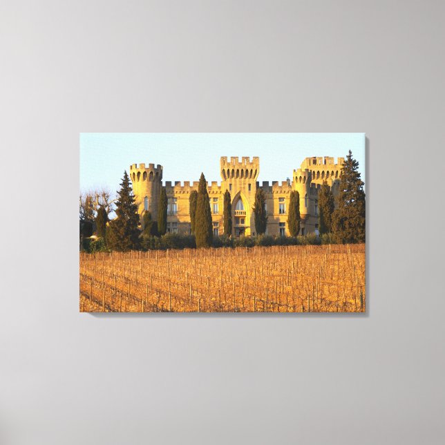Toile Le vignoble avec des vignes de syrah et le château (Recto)