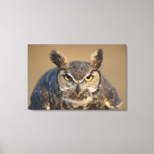 Toile le Wyoming, Etats-Unis