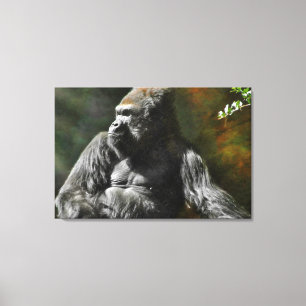 TOILE LEADER DE SILVERBACK GORILLA