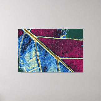 Toile Leaf Fine Art 4