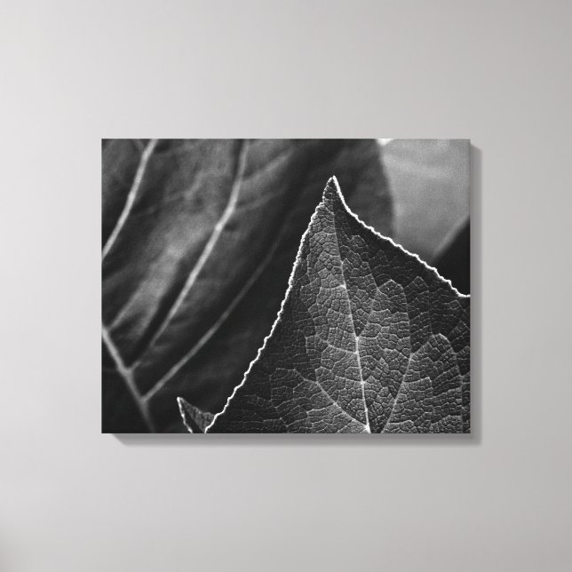 Toile leaves (Recto)