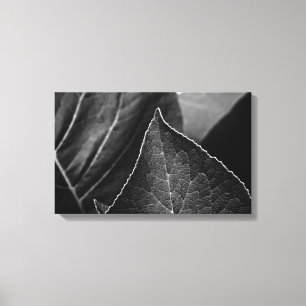 Toile leaves
