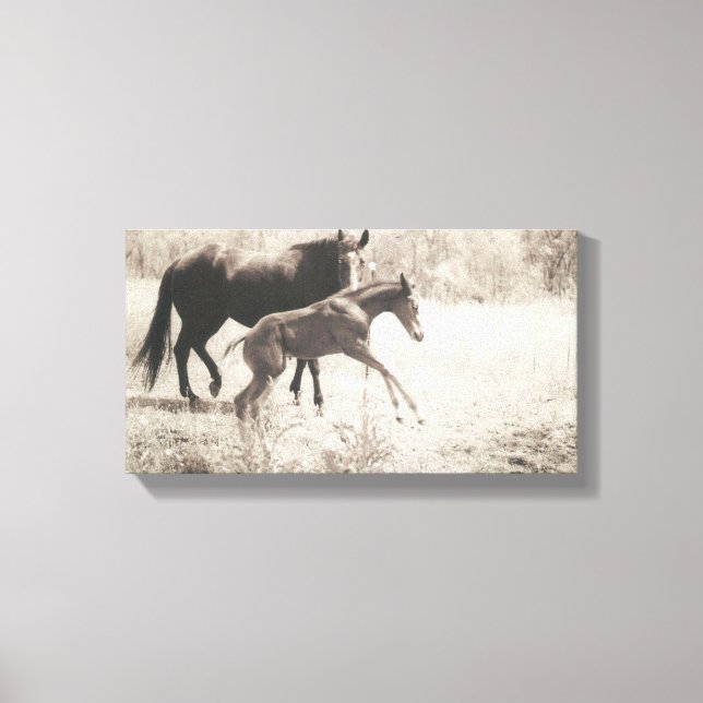 Toile Lecteurs directs (Recto)