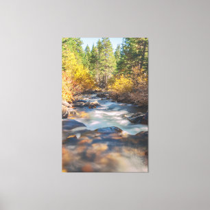 Toile Lee Vining Creek
