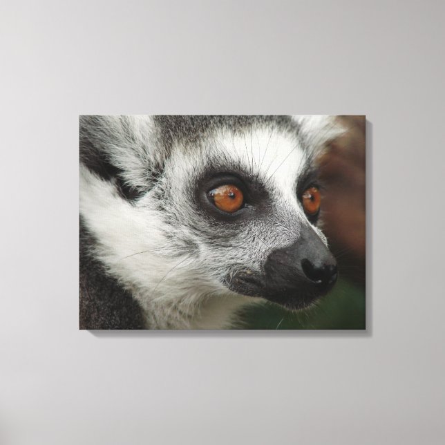 Toile Lemur (Recto)