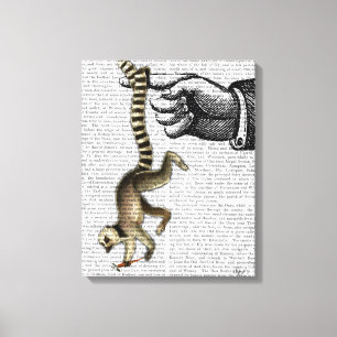Toile Lémur à anneaux sur doigt