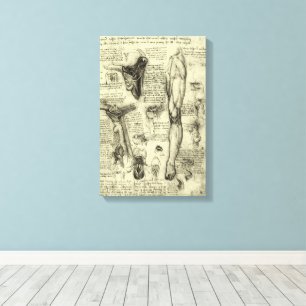 Toile Leonard de Vinci Anatomie Humaine Vintage Larynx J