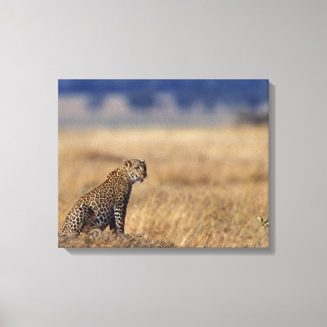 Toile Léopard africain dans les prairies, Kenya, Afrique (Recto)