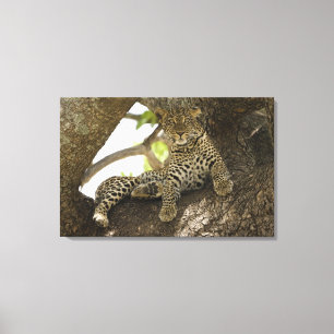 Toile Léopard africain, Panthera pardus