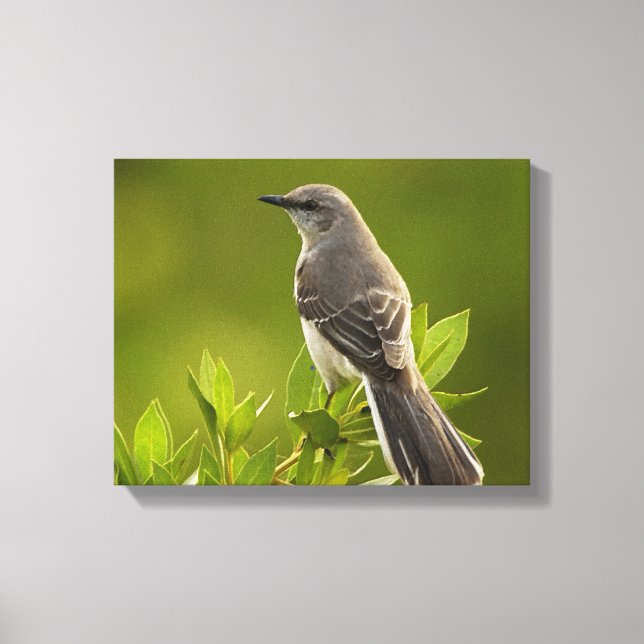 Toile Les amateurs d'oiseaux de Mockingbird (Recto)