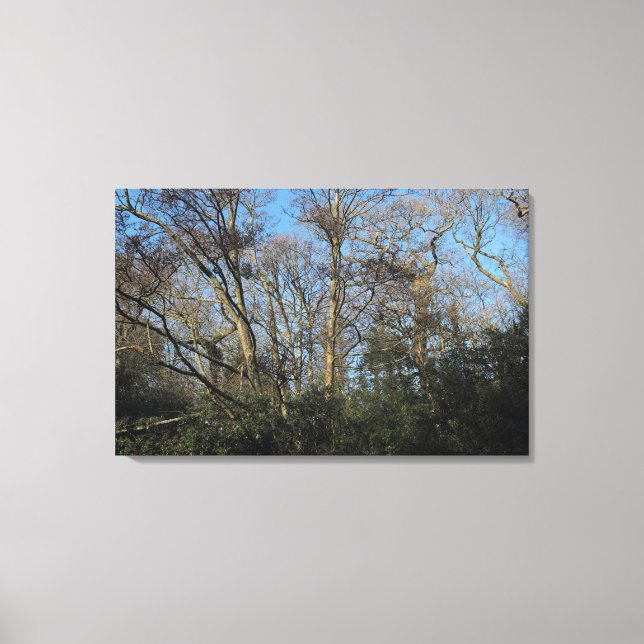 Toile Les arbres dansants du bois sauvage (Recto)
