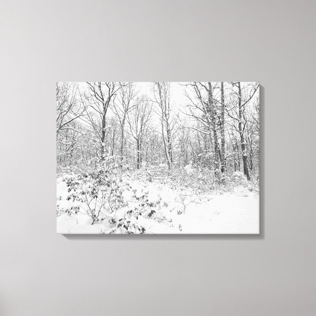 Toile Les arbres neigeux dans les Poconos (Recto)
