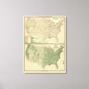 Toile Les bassins fluviaux, sylviculture