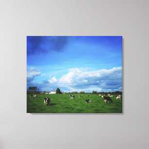 Toile Les bétail de frison du Holstein s'approchent de