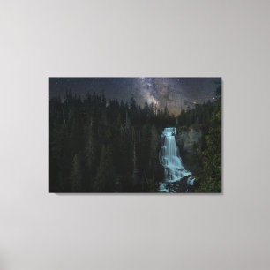 Toile Les cascades   Parc olympique de Whistler