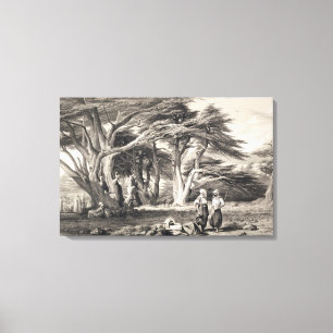 Toile Les cèdres du Liban, gravés par Freeman (sépia