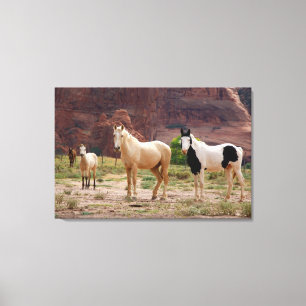 Toile Les chevaux navajos courent librement sur le fond