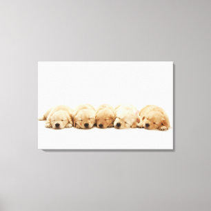 Toile Les chiots du golden retriever