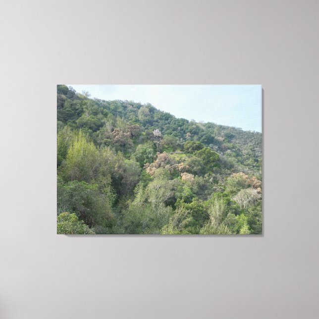 Toile Les collines de Los Altos (Recto)